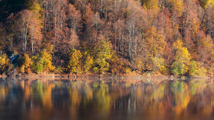 Beautiful autumn forest reflecting in foggy lake