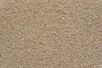 Thousands of white sesame seeds food in extreme resolution, for backgrounds, texture, design