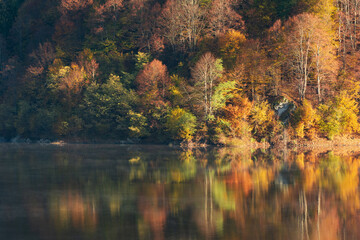 Beautiful autumn forest reflecting in lake