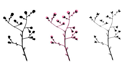 Branch with berries in black and pink color
