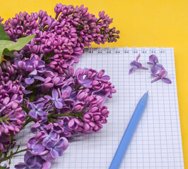 Spiral notebook and pen. Notepad with pen and flowers. Notebook lilacs on yellow background.