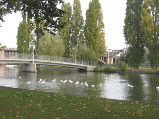 Pont oiseau canal