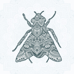 Insect Mandala Vector. Vintage decorative elements. Oriental pattern, vector illustration.