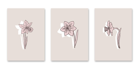 Trendy minimalistic universal art background templates. Narcissus flower. Pastel background. Suitable for cover, invitation, banner, poster, brochure, poster, postcard, flyer and more.