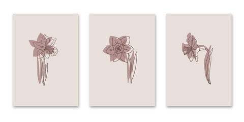 Trendy minimalistic universal art background templates. Narcissus flower. Pastel background. Suitable for cover, invitation, banner, poster, brochure, poster, postcard, flyer and more.