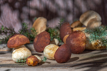 Fresh boletus mushrooms on a wooden background still life