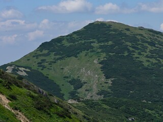 Naklejka premium Krivan mountain in Little Fatra, Slovakia