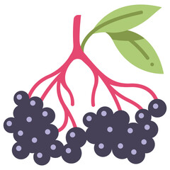 elderberries icon