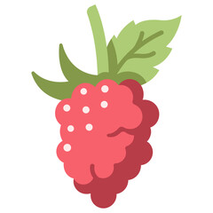 raspberry icon - obrazy, fototapety, plakaty