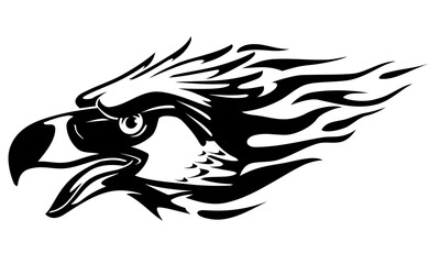 Endangered Eagle, Abstract Flame Head of Philippine Eagle