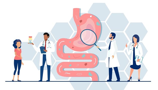Vector of a medical team examining gastrointestinal tract and digestive system giving advice to a patient