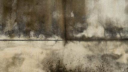 Concrete floors that cause moisture and cause mold to stick to black stains.