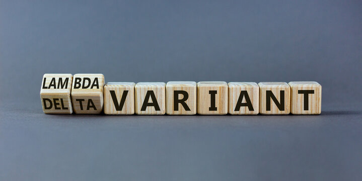 Covid-19 delta or lambda variant symbol. Turned wooden cubes, changed words delta variant to lambda variant. Beautiful grey background, copy space. Medical, Covid-19 delta or lambda variant concept.