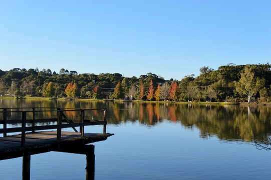 Beautiful afternoon in S&atilde;o Bernardo's lake, with reflection of red leaves into the water and a wooden deck, S&atilde;o Francisco de Paula, southern Brazil.