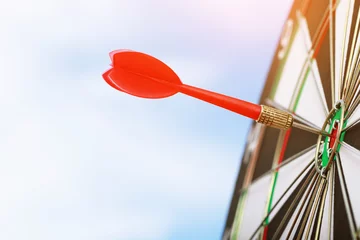 Tuinposter darts en zakelijk succes doelen concept © methaphum