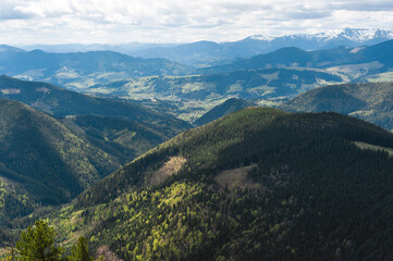 Summer mountain landscape, Carpathians, Ukraine. Beautiful landscape of mountain national park. 