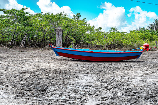 Praia do Lambe: Rusticity and Beauty in Par&aacute;
Formed by a large strip of sand at low tide, access to the place can be done on foot. However, when the tide is high, access is not possible by means of sm