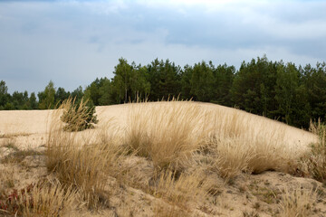 Sand dunes under a bright autumn sky