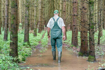 A forest owner walks through his flooded forest after a heavy rain. Extreme weather caused by...