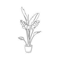 continuous line drawing of hand Tropical plant in pot. Tropical flower lineart with editable stroke.