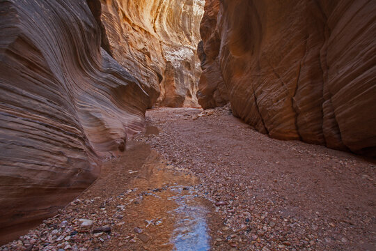 Willis Creek 2328