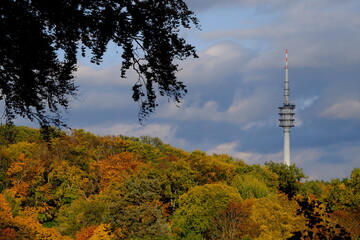 Fototapeta premium telecommunication tower in autumn forest