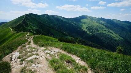 Fototapeta na wymiar Ridge leading to the Velky Krivan (1 709 m), highest mountain in the Mala Fatra, Slovakia