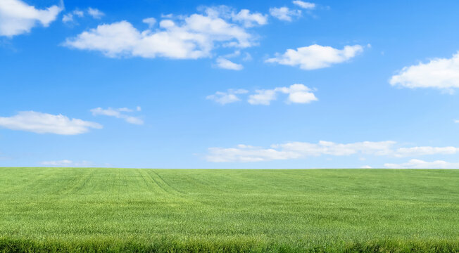 Flat green grass, lawn against a large blue sky on a Sunny day. Wide view of the countryside. Natural background of green grass, fresh juicy shot.