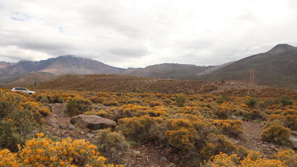 autumn in the mountains, natural landscape 