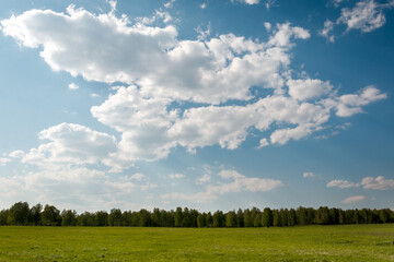 ecology is when clean air and blue sky