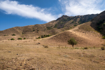 landscape in the mountains