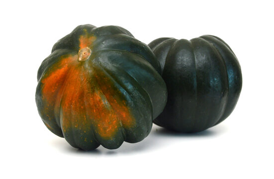 Corn Squash On White Background