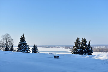 trees on the banks of the Volga in winter