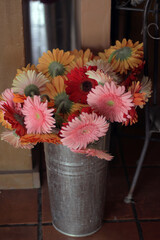 Gerberas