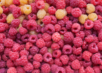 Red and yellow raspberry close up