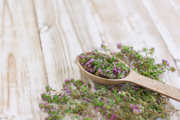 thyme in a wooden spoon on a white shabby wooden background side view. condiments, spices, medicinal herbs, aromatherapy.