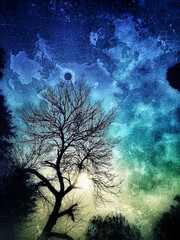 Obraz na płótnie Canvas tree in the night