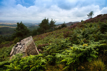 Landscape in the mountains. Aberdeenshire, Scotland, UK