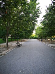 boulevard early in the morning in mostoles