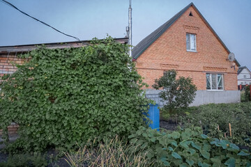 red brick house in the village