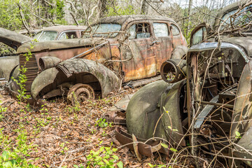 Abandoned cars in the woods