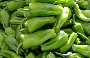 organic and fresh green bell peppers