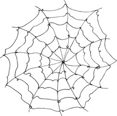 spider web on the web.vector illustration. hand drawing