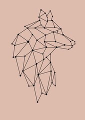 WOLF HEAD LOW POLY BACKGROUND ANIMALS WILD NATURE 