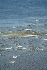 ice floats on the Volga River in spring