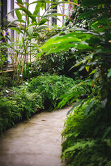 botanic garden in Leipizg