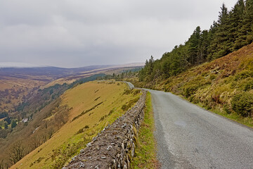 Road with stone wall through foggy wicklow mountains with heath, forest and snow 