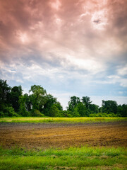 Fototapeta na wymiar Agricultural Field and Dramatic Clouds Landscape
