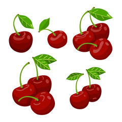 Vector illustration of cherry or cherry berries.