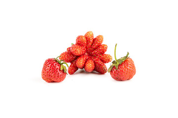 Berries of strawberries of different varieties isolated on a white background.